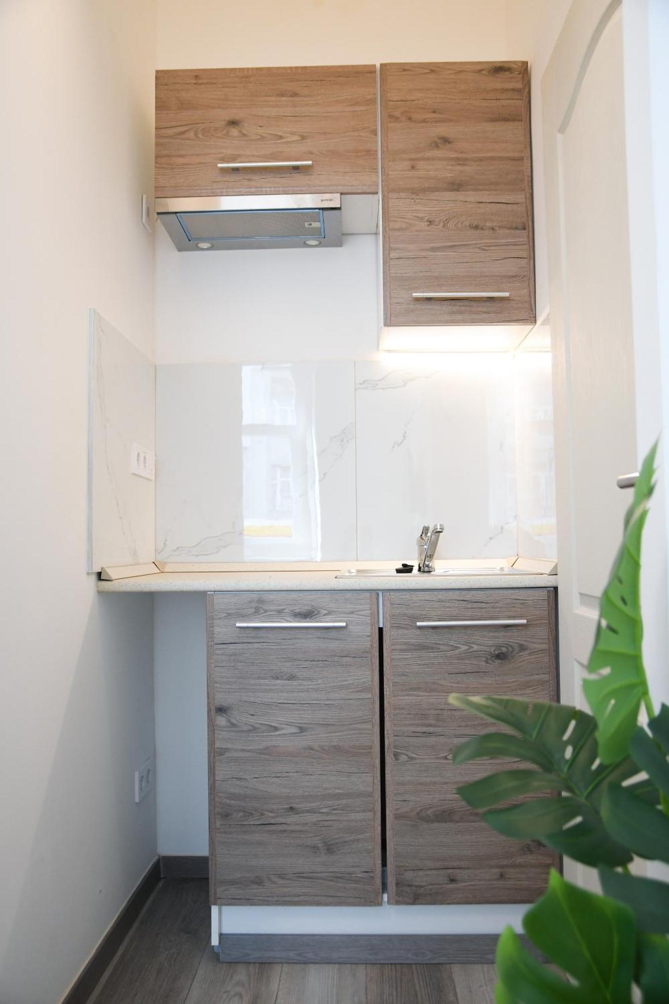 Buda Central Tiny Studios Budapeşte Dış mekan fotoğraf